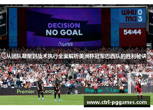 从团队凝聚到战术执行全面解析美洲杯冠军巴西队的胜利秘诀
