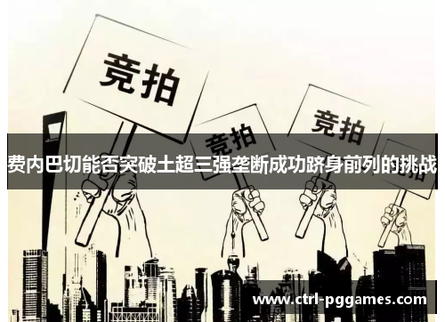 费内巴切能否突破土超三强垄断成功跻身前列的挑战